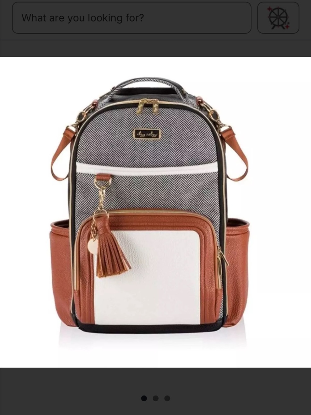 Itzy Ritzy Boss Plus Diaper Bag